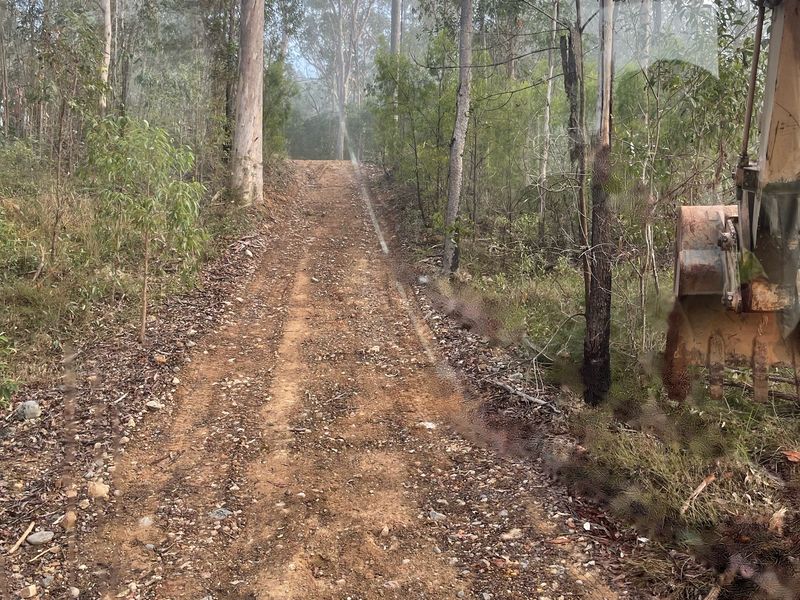 Rural driveway before works, through misty eucalypts, with the excavator bucket at the edge of the frame